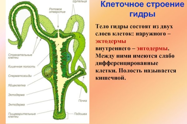 Что вместо гидры