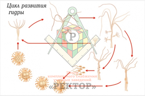 Кракен как войти